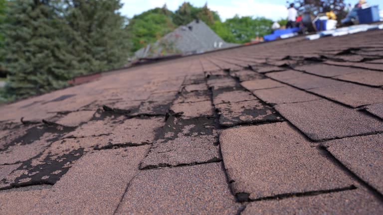 Best Green or Eco-Friendly Roofing Solutions  in Hawarden, IA