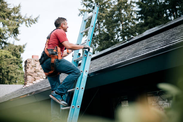 Best Asphalt Shingles Roofing  in Hawarden, IA